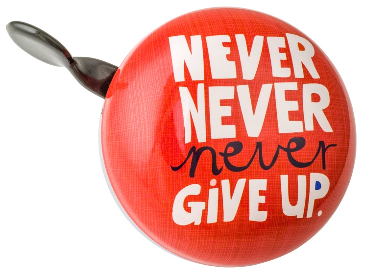 6864_Carolyn-Gavin-Never-Give-Up.jpg