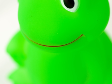 7750 Liix-Funny-Horn-Frog 1