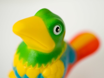 7749 Liix-Funny-Horn-Paradise-Bird 1