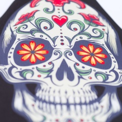 sc2104 Liix-Saddlecover-Sugar-Skull 2