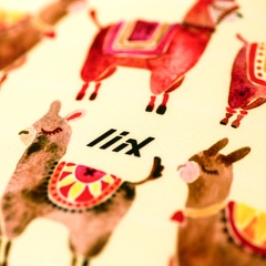 sc2105 Liix-Saddlecover-Alpaca 1