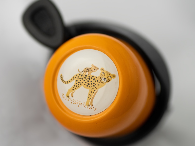 Sb2304-Leo-orange 1