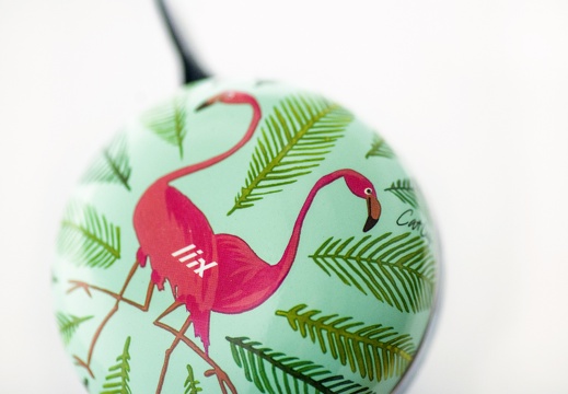 6788 Liix-Ding-Dong-Bell-Flamingos a