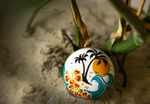 6783 Liix-Ding-Dong-Bell-Hawaii-1